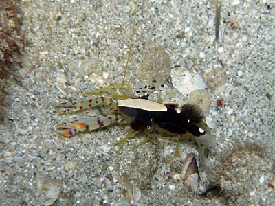 b0033573_00043087.jpg