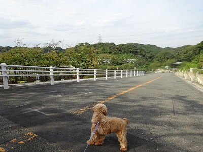 e0222588_17340268.jpg