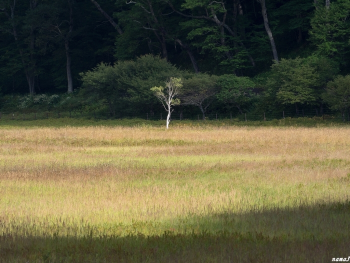 f0224100_21411563.jpg