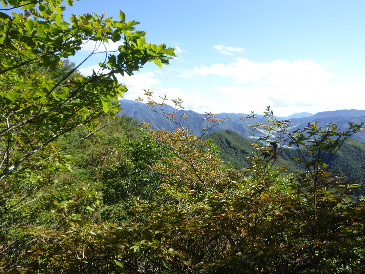 d0170615_902261.jpg