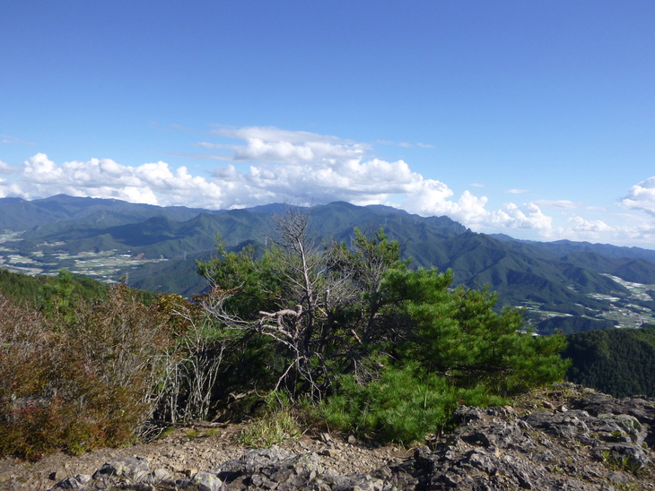 d0170615_904752.jpg