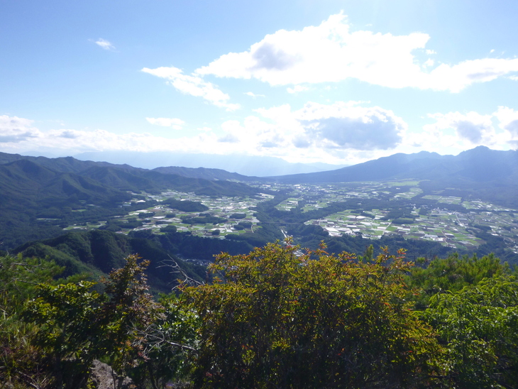 d0170615_905830.jpg