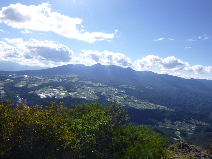 d0170615_91977.jpg