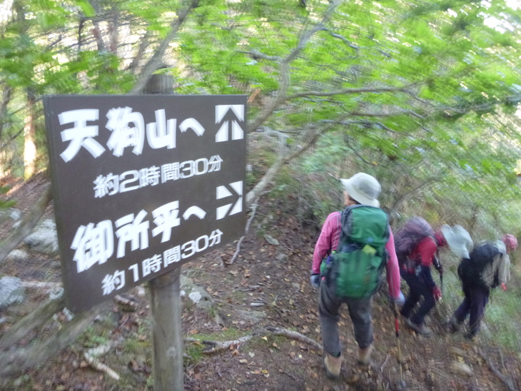 d0170615_922190.jpg
