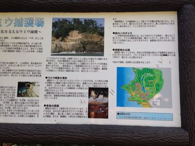 b0203925_9193879.jpg