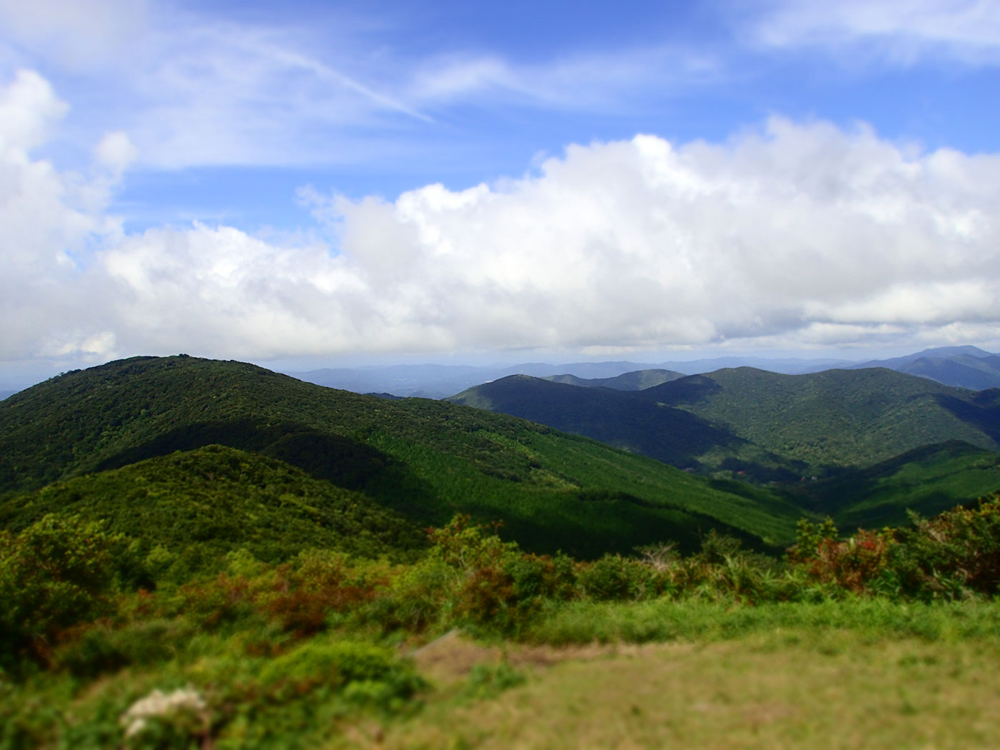 c0064025_1685033.jpg