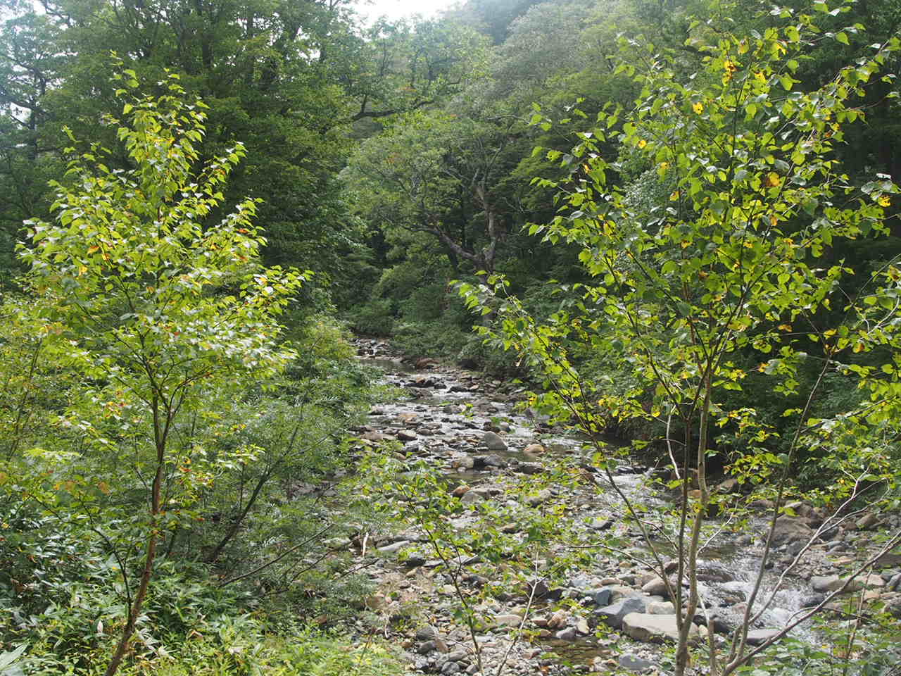f0353034_16480753.jpg