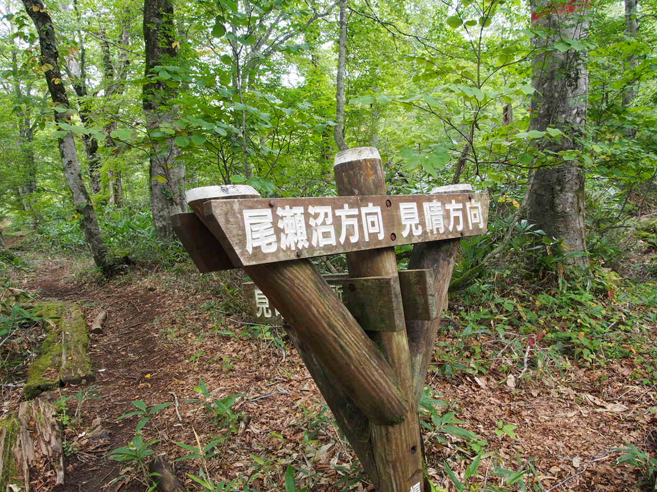 f0353034_16524281.jpg