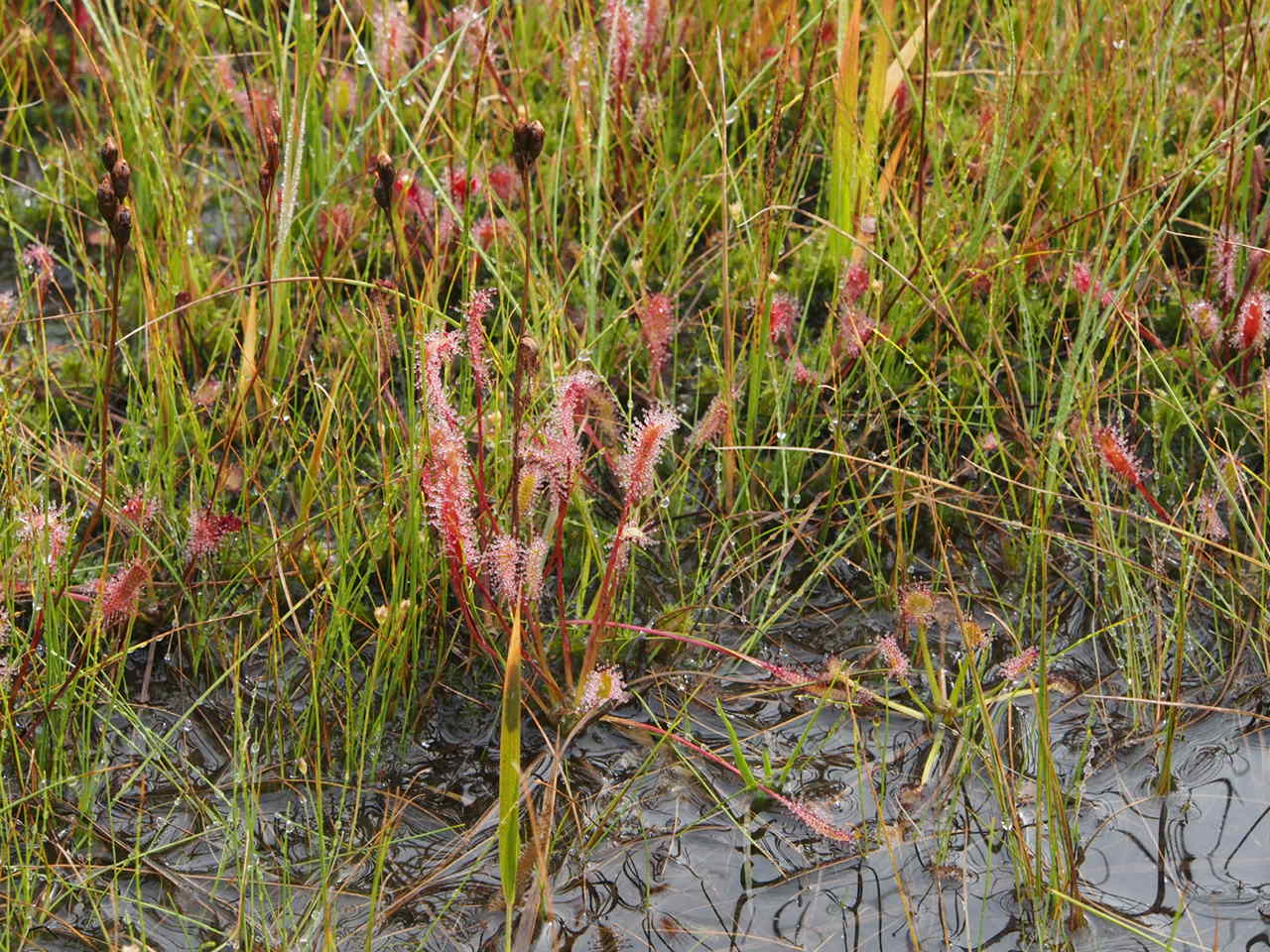 f0353034_16540852.jpg
