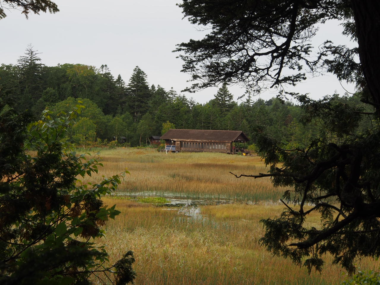 f0353034_16543000.jpg