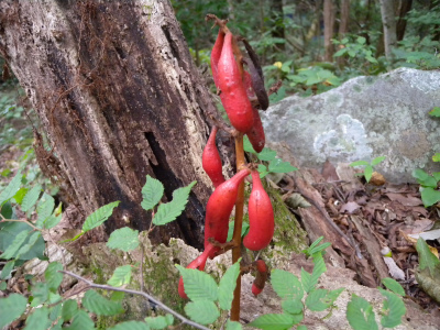 e0272335_5242910.jpg