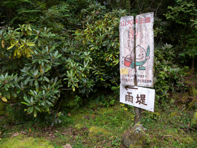 e0272335_5265637.jpg