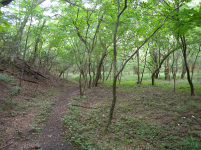 e0272335_545421.jpg