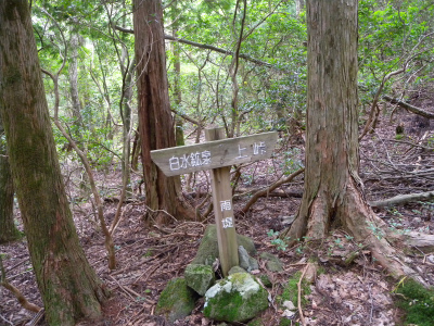 e0272335_5461177.jpg