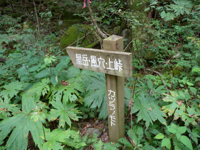 e0272335_5531342.jpg