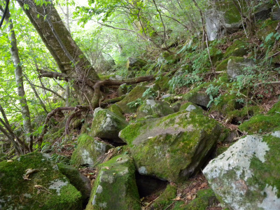 e0272335_740299.jpg