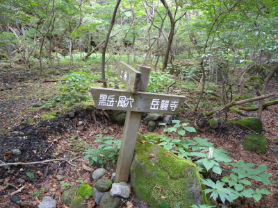 e0272335_7472591.jpg