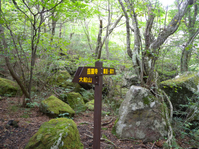 e0272335_755737.jpg