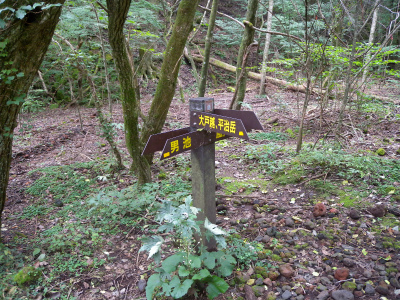 e0272335_8133337.jpg
