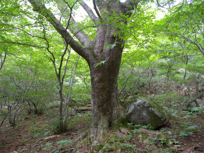 e0272335_82145.jpg