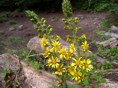 e0272335_8302640.jpg