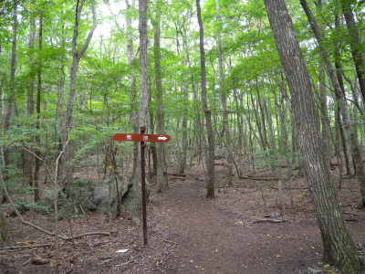 e0272335_8363976.jpg