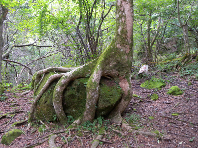e0272335_84055.jpg
