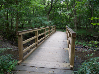 e0272335_8492529.jpg