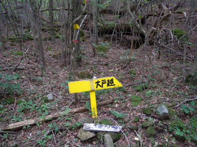 e0272335_85946.jpg