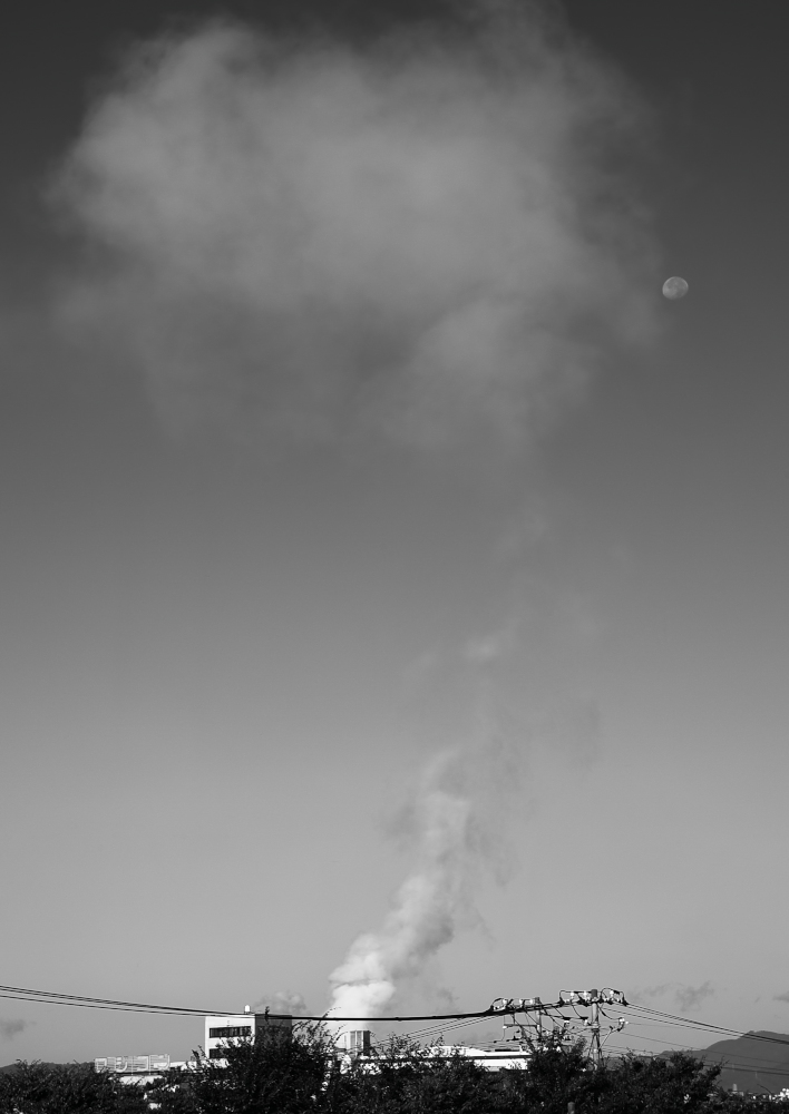 f0178635_15353836.jpg