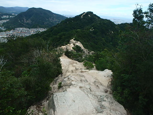 f0334143_2022436.jpg