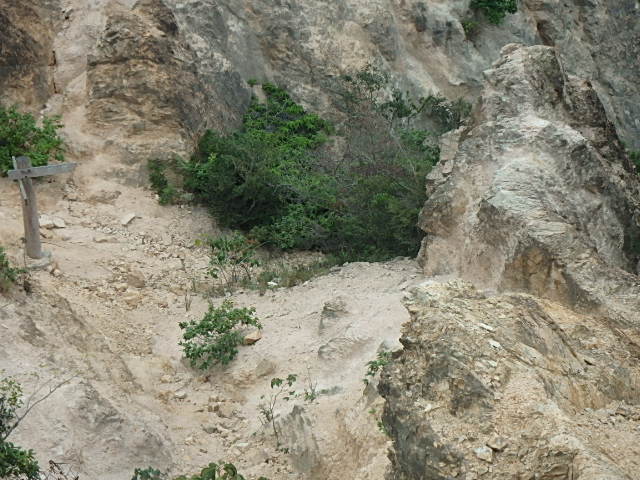 f0334143_2023364.jpg