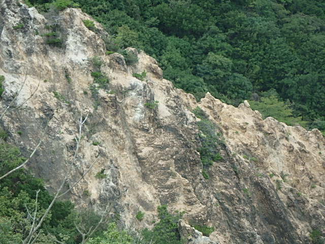 f0334143_2023421.jpg