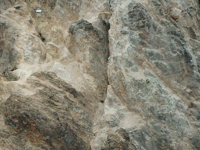 f0334143_20235350.jpg