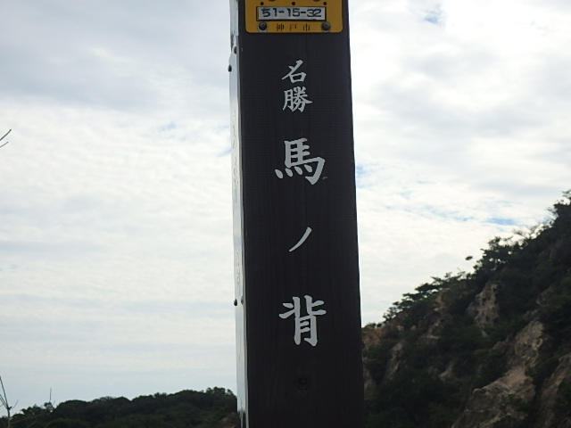 f0334143_20284514.jpg