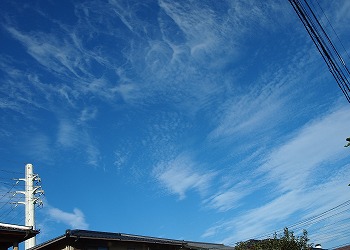 c0171349_13543889.jpg