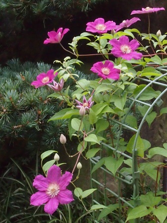 b0246758_16282465.jpg