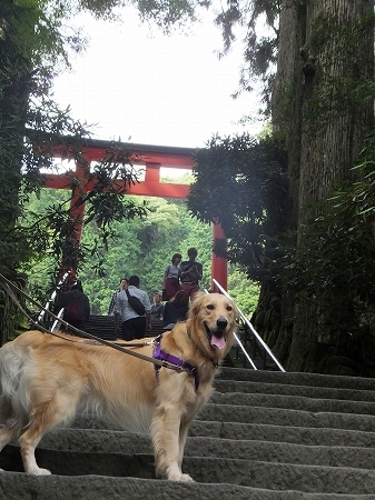 c0097558_1235931.jpg