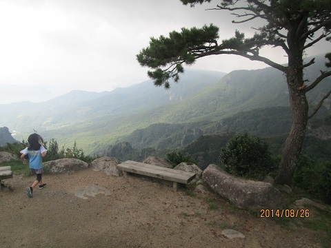 d0029363_1314143.jpg