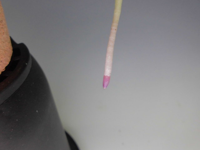 f0318967_20122559.jpg