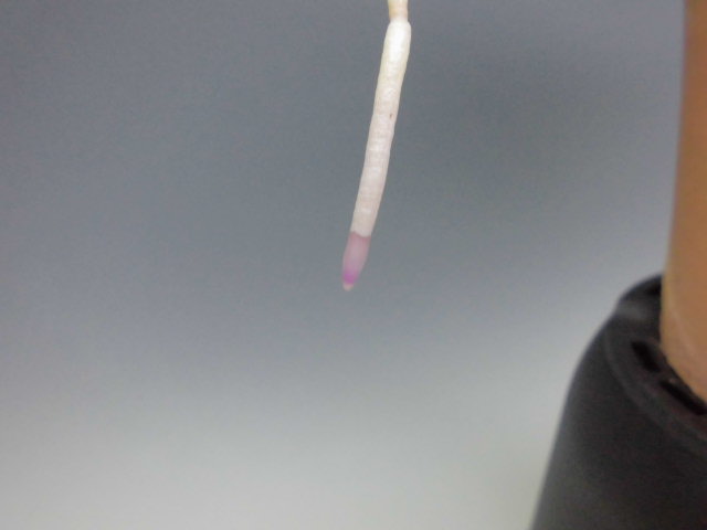 f0318967_20123826.jpg