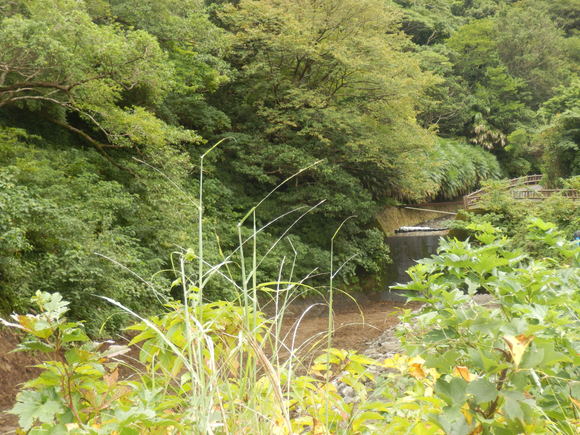 e0292172_2036352.jpg