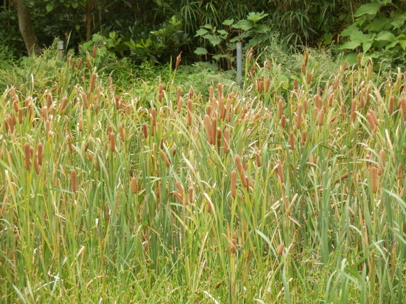 e0292172_20524334.jpg