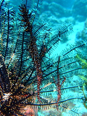 b0033573_00120413.jpg