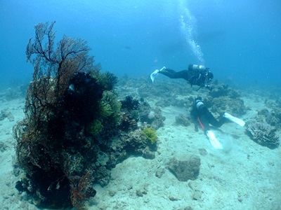 b0033573_00121276.jpg