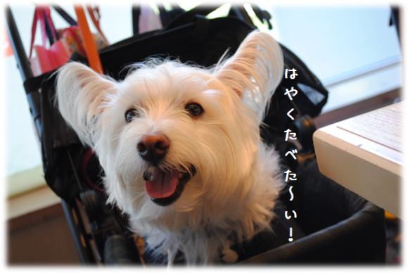 b0242873_00215991.png