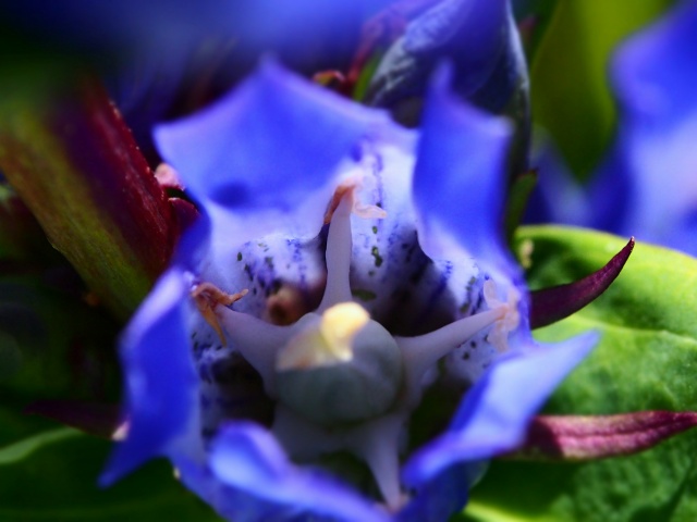 c0183777_20241737.jpg