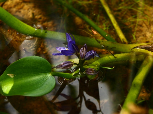c0183777_20373225.jpg