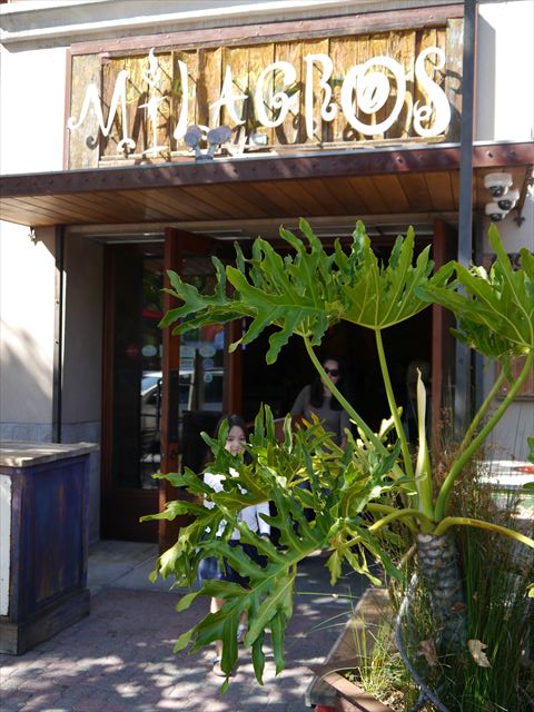 f0167281_11305717.jpg