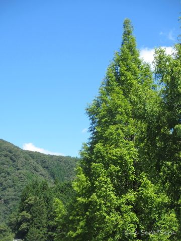 d0098183_23244366.jpg
